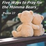 Five Ways to Pray for the Momma Bears